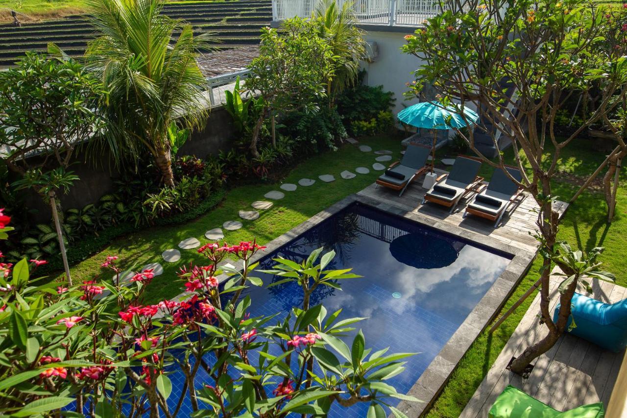 Gasthof Frangipani House And By Ecommerceloka *