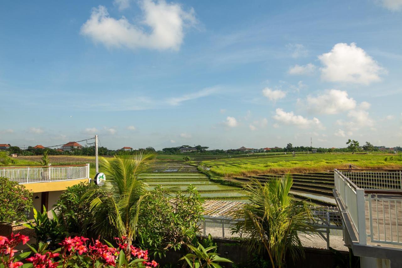Frangipani House And By Ecommerceloka *